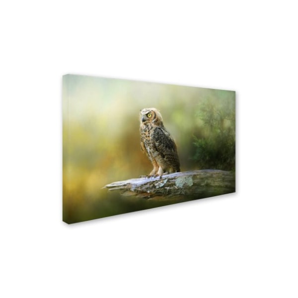 Jai Johnson 'A Night With The Great Horned Owl 3' Canvas Art,30x47